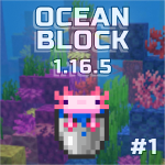 OceanBlock 1.16.5 #1